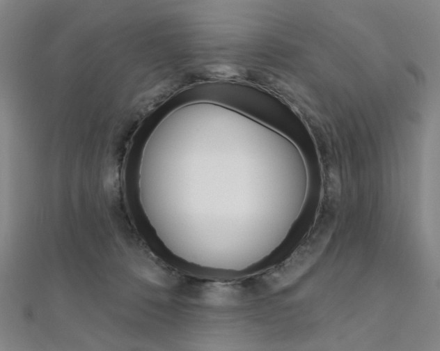 X0000112060320200908041016