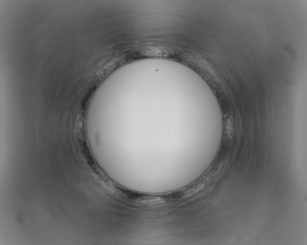 X0000112060322200908041016
