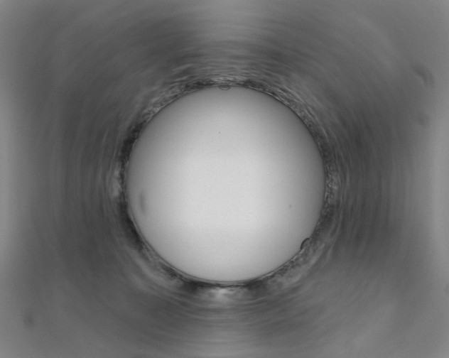 X0000112060323200908041016