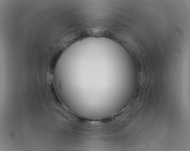X0000112060324200908041016