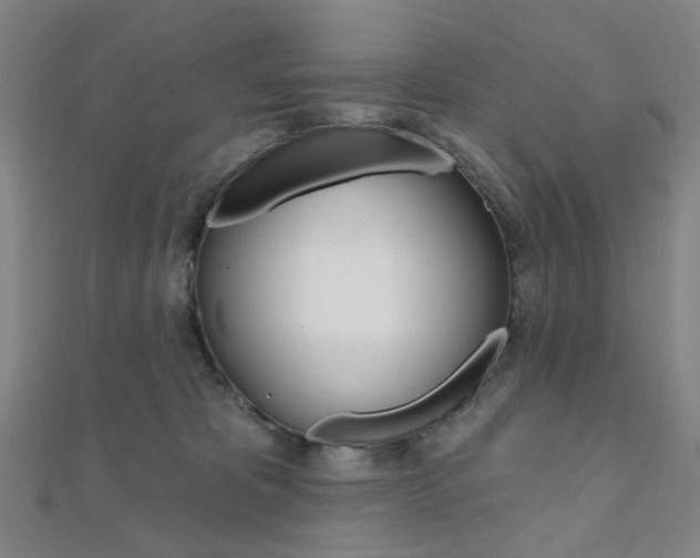 X0000112060325200908041016