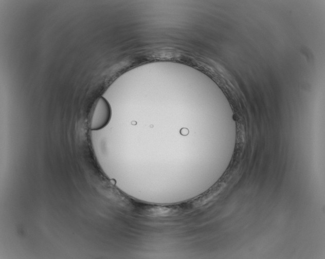 X0000112060326200908041016