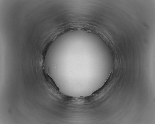 X0000112060328200908041016