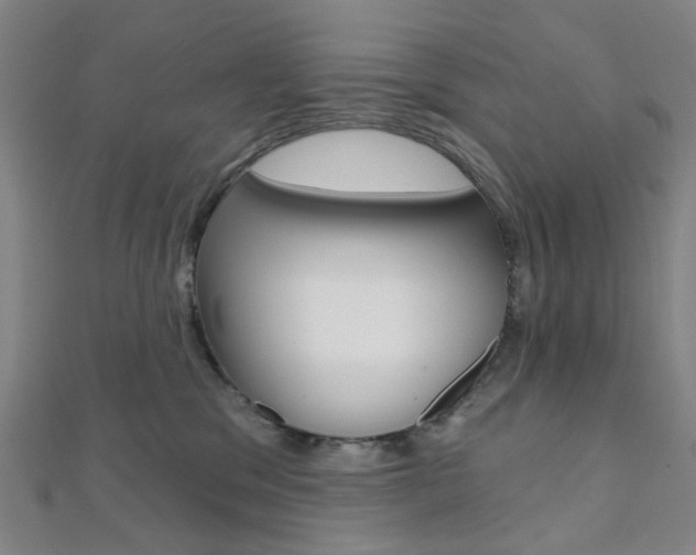 X0000112060329200908041016