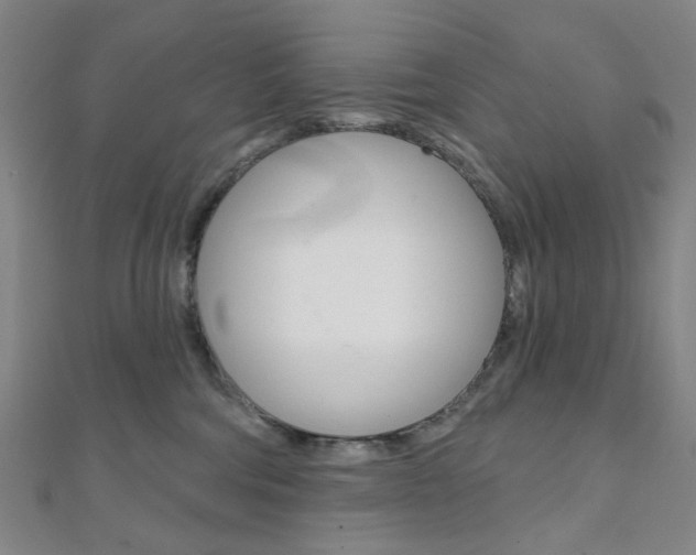 X0000112060330200908041016