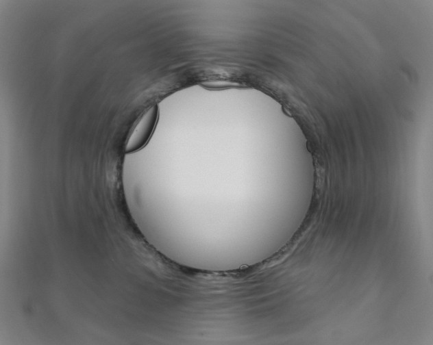 X0000112060331200908041016