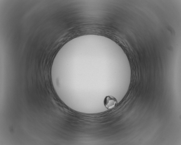 X0000112060332200908041016