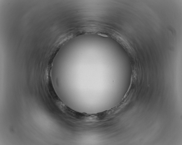 X0000112060333200908041016
