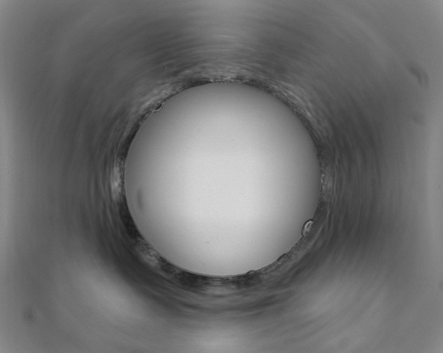 X0000112060335200908041016