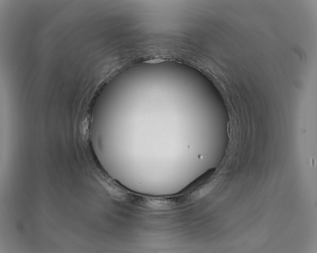 X0000112060336200908041016