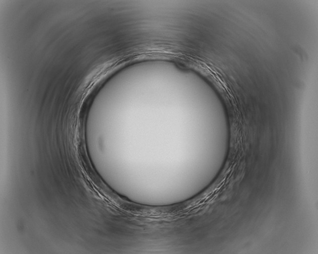 X0000112060338200908041015