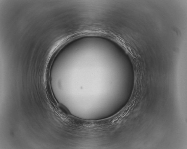 X0000112060340200908041015