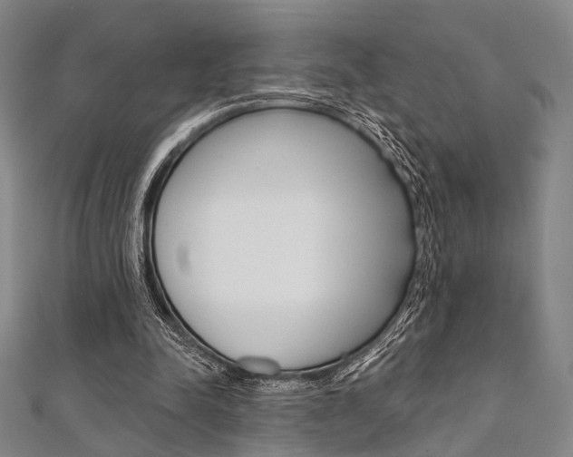 X0000112060342200908041015