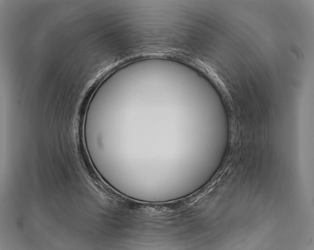 X0000112060346200908041015