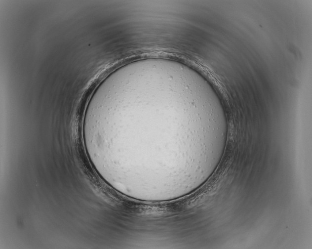 X0000112060347200908041015