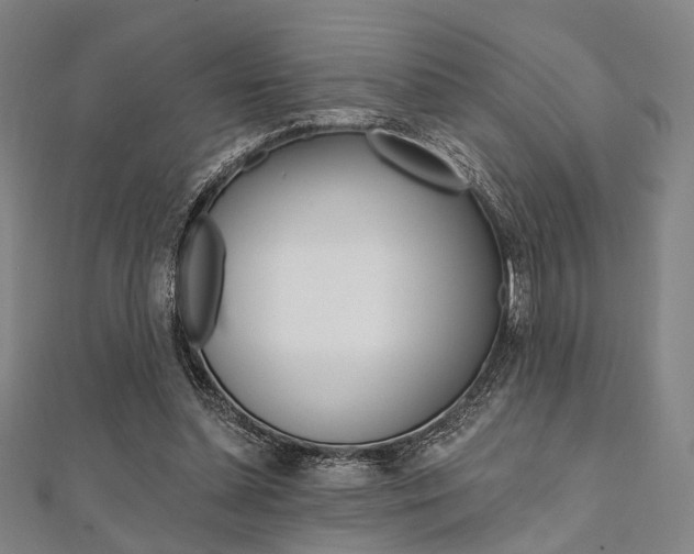 X0000112060348200908041015