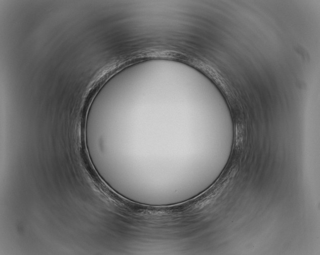 X0000112060349200908041015