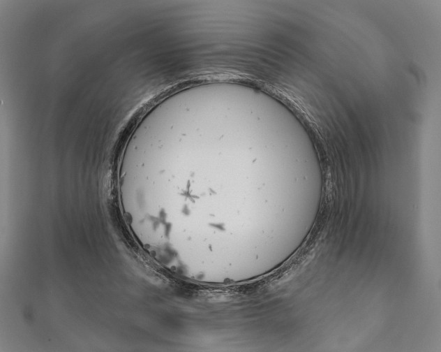 X0000112060351200908041016