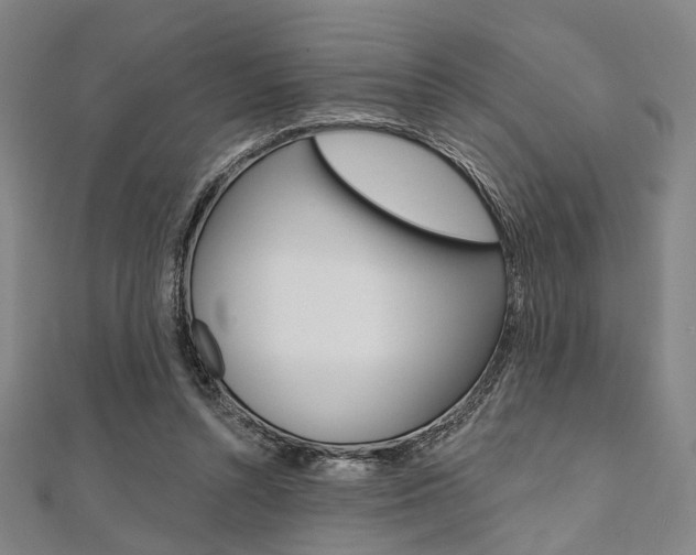 X0000112060352200908041016