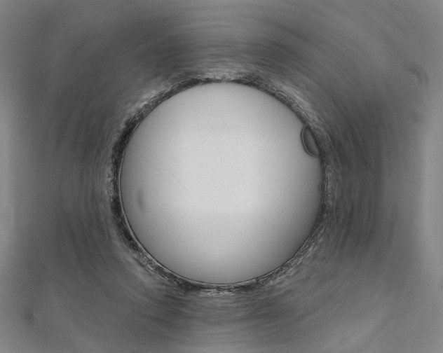 X0000112060354200908041016