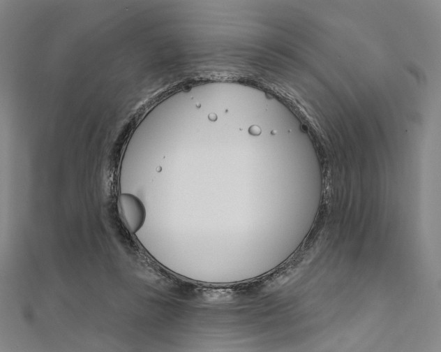 X0000112060355200908041016
