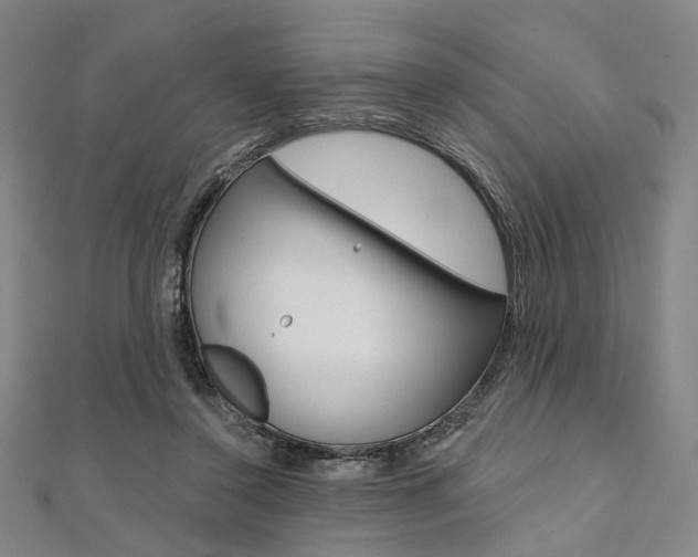 X0000112060356200908041016