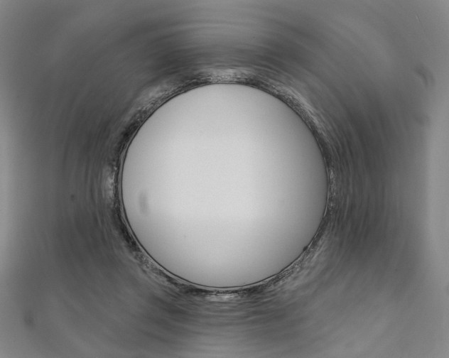 X0000112060357200908041016