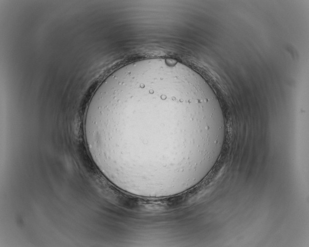 X0000112060359200908041016