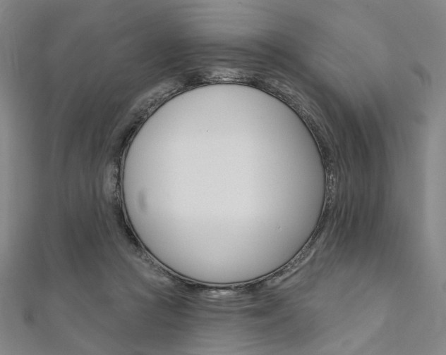 X0000112060361200908041016