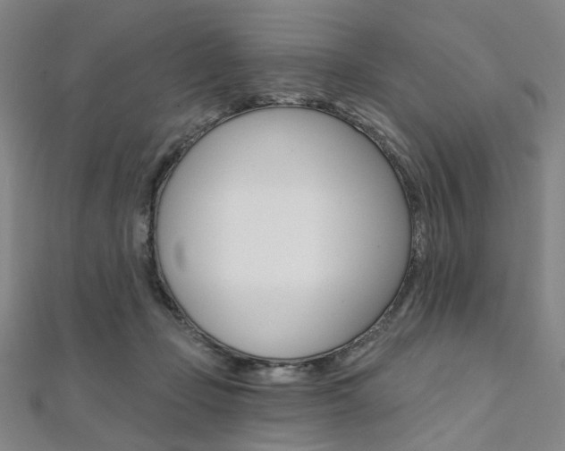 X0000112060365200908041016