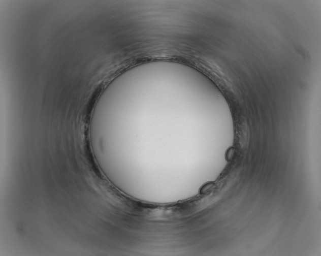 X0000112060366200908041016