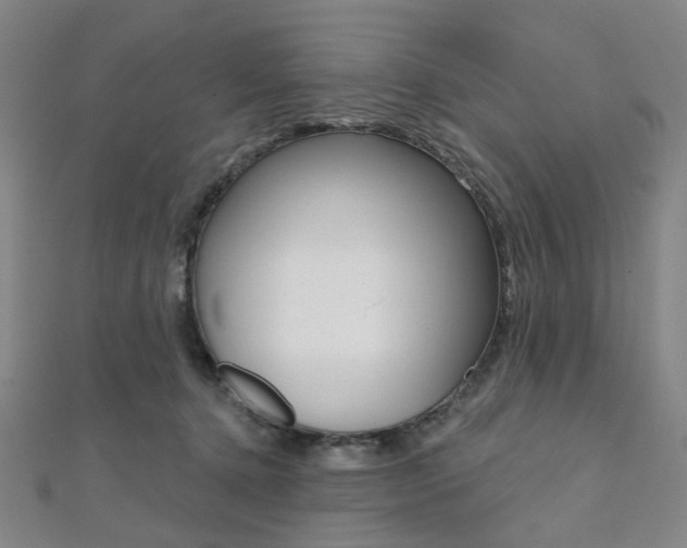 X0000112060368200908041016