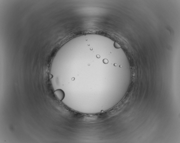 X0000112060369200908041016