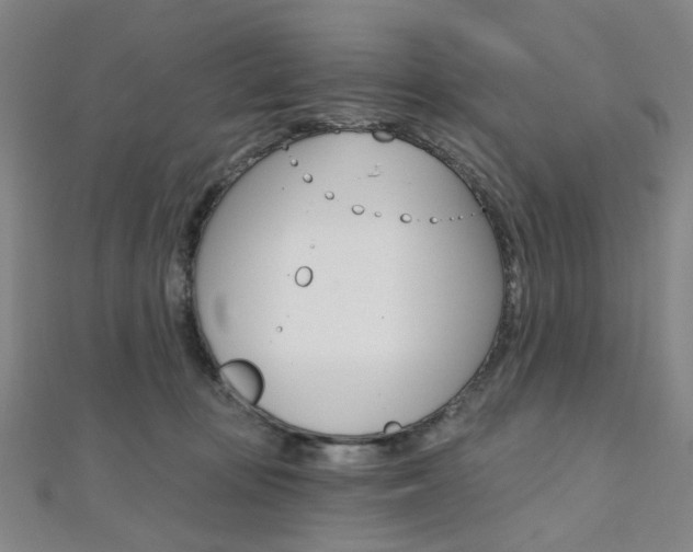 X0000112060371200908041016