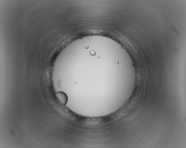X0000112060373200908041016
