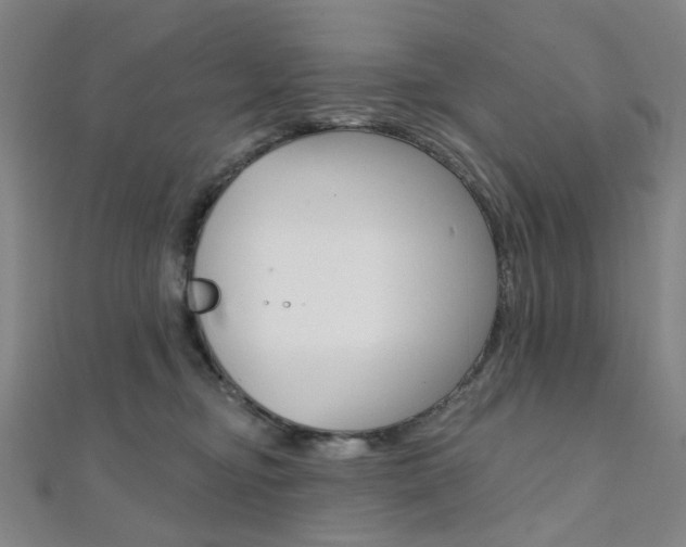 X0000112060374200908041016
