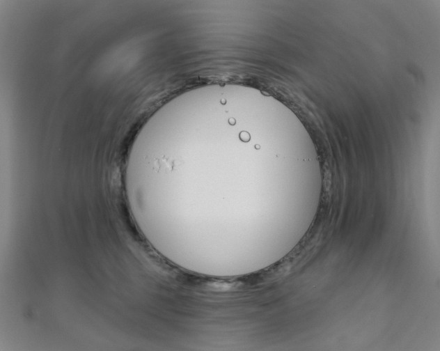 X0000112060375200908041016