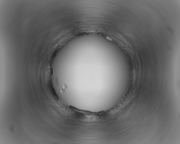 X0000112060376200908041016