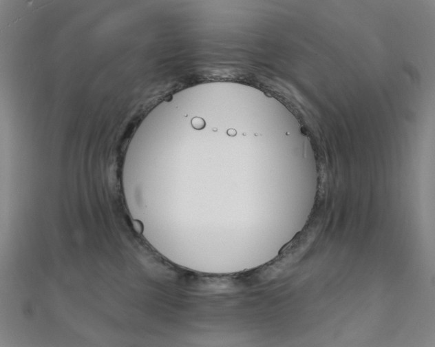 X0000112060377200908041016
