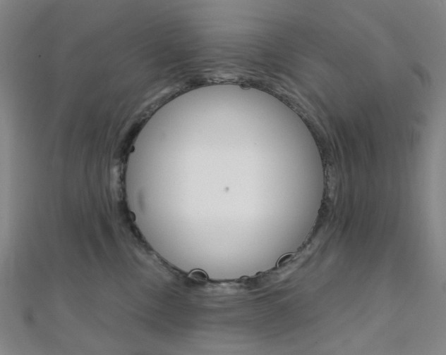 X0000112060378200908041016