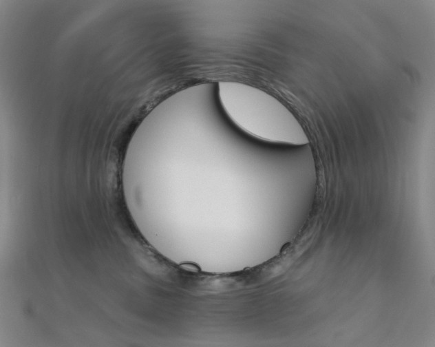 X0000112060379200908041016