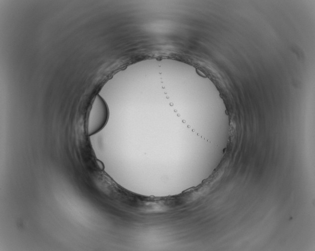 X0000112060381200908041016