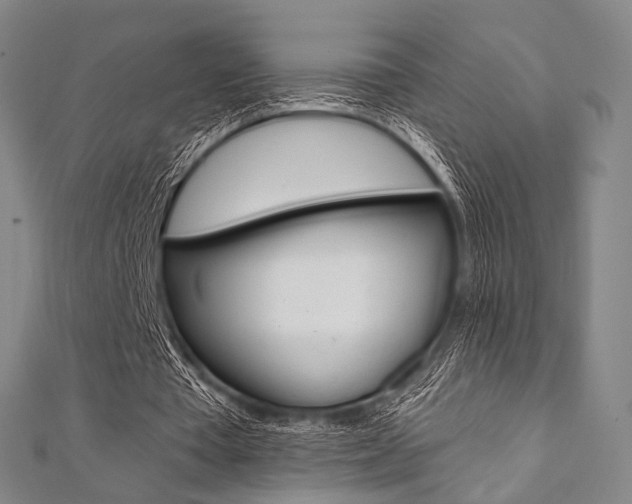 X0000112060385200908041015