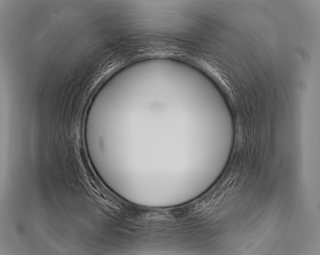 X0000112060386200908041015