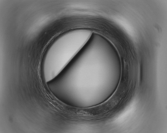 X0000112060387200908041015