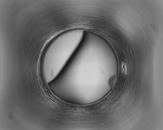 X0000112060388200908041015