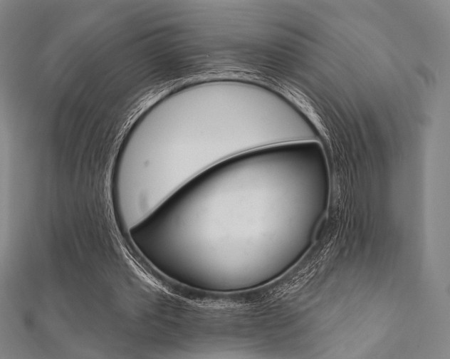 X0000112060389200908041015