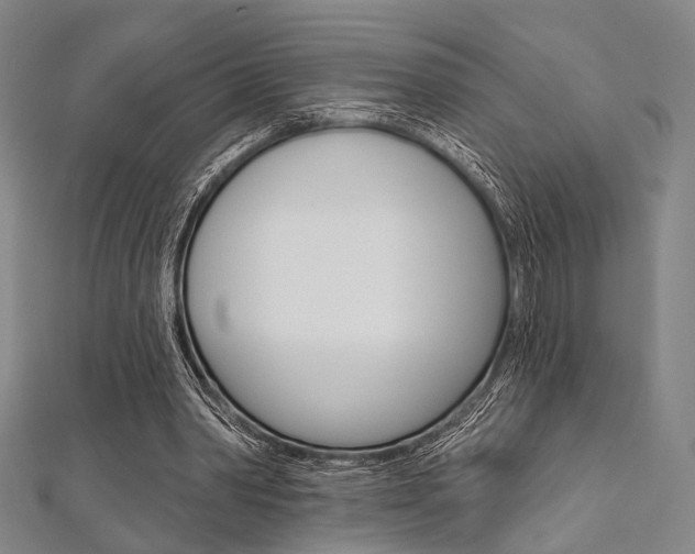 X0000112060390200908041015