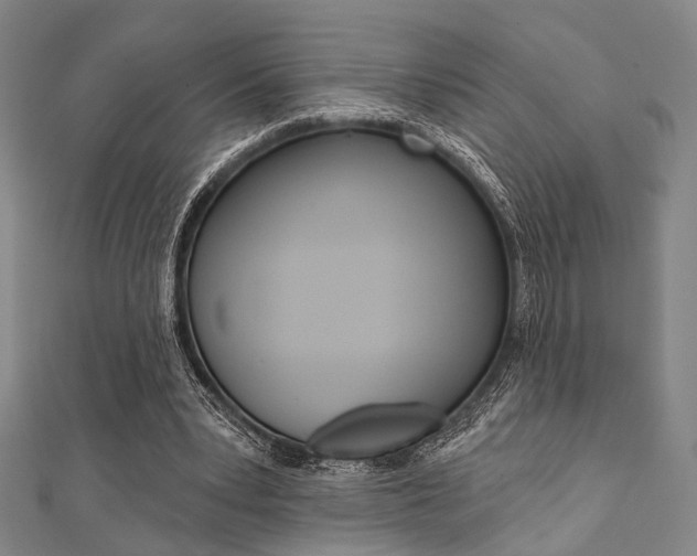 X0000112060391200908041015