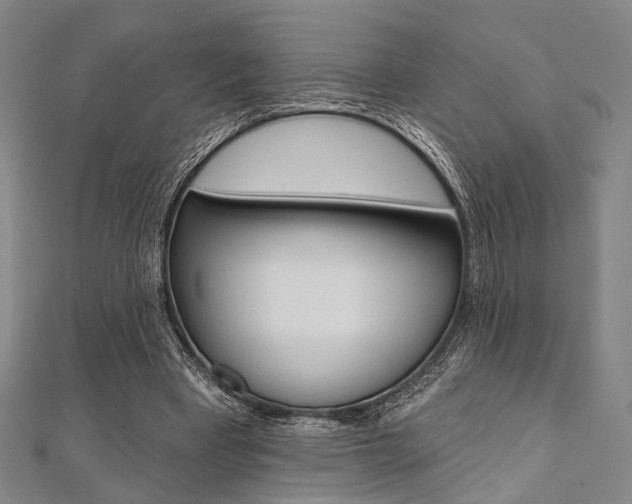 X0000112060393200908041015
